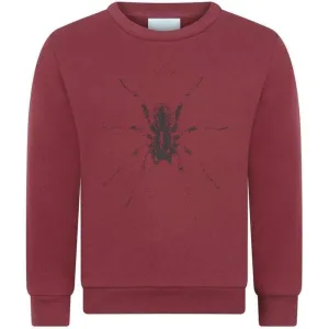 Boys Burgundy Spider Sweatshirt