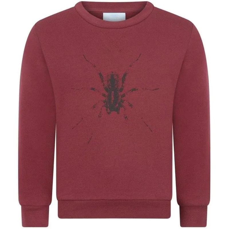 Boys Burgundy Spider Sweatshirt