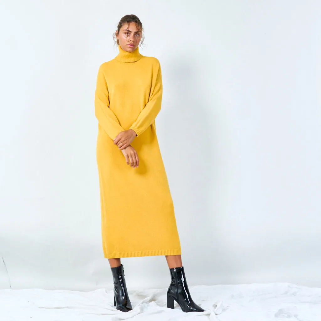 Cozy turtleneck long sweater dress wholesale