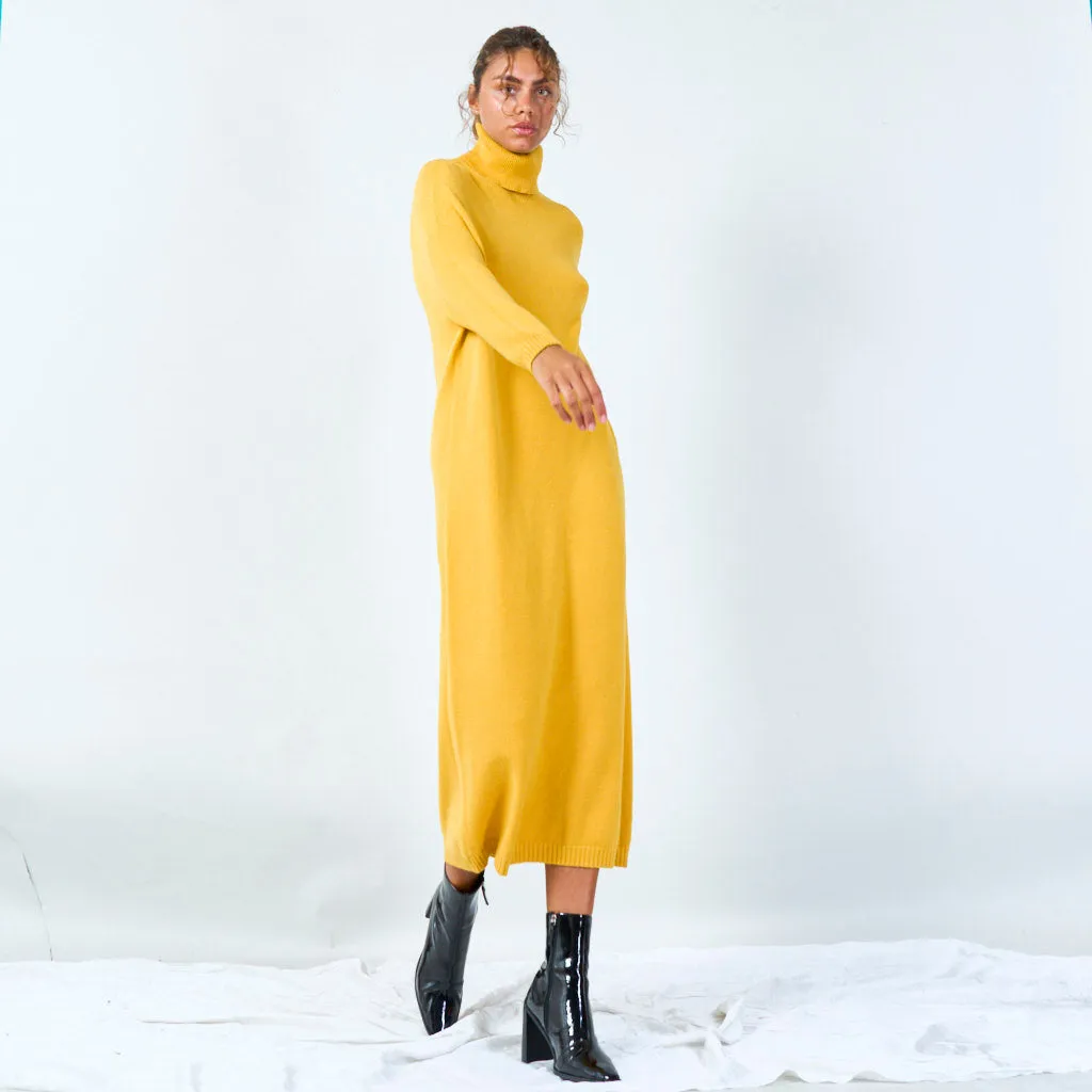 Cozy turtleneck long sweater dress wholesale