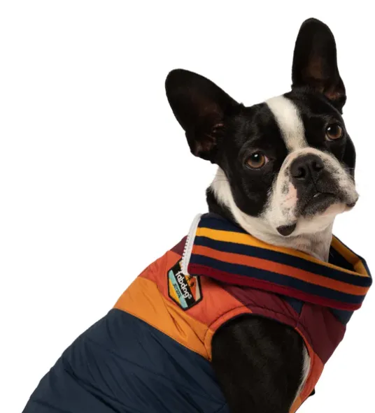 FabDog Chevron Coat Navy